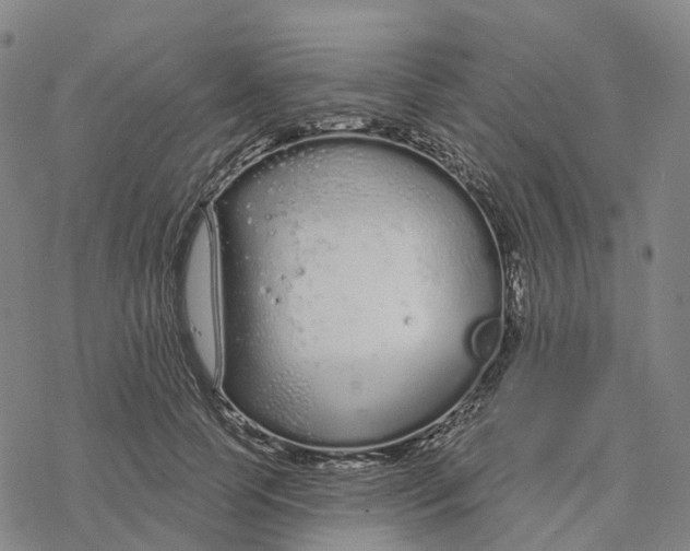 X0000076420745200610271707