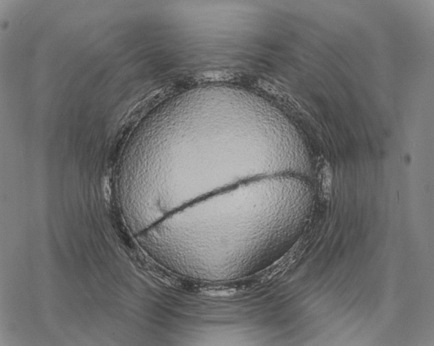 X0000076420746200610271707