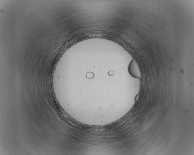 X0000076420747200610271707