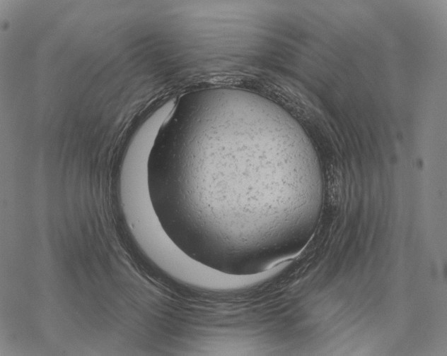 X0000076420748200610271707