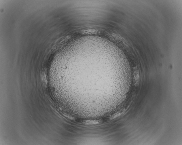 X0000076420749200610271707