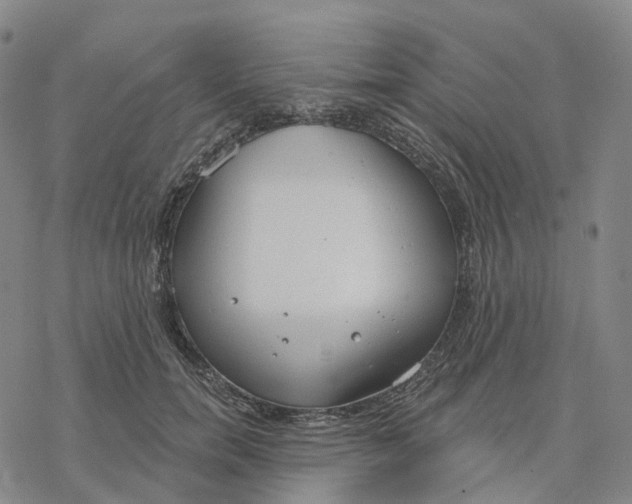 X0000076420750200610271707