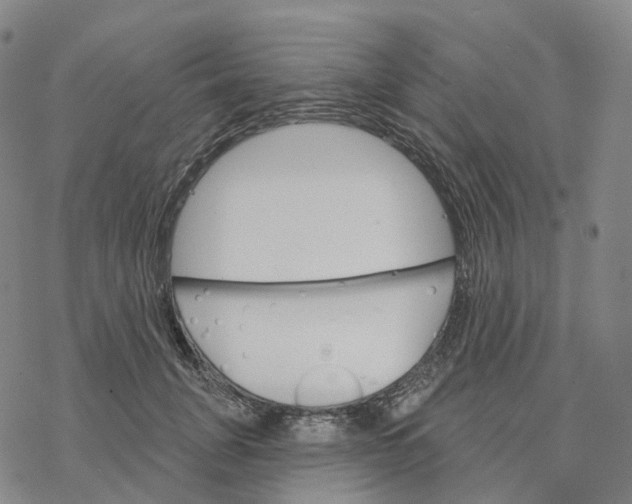 X0000076420751200610271707