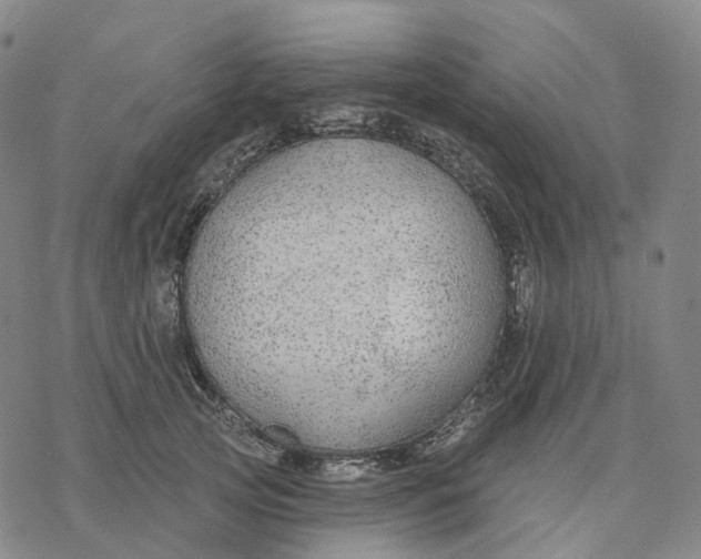 X0000076420753200610271708