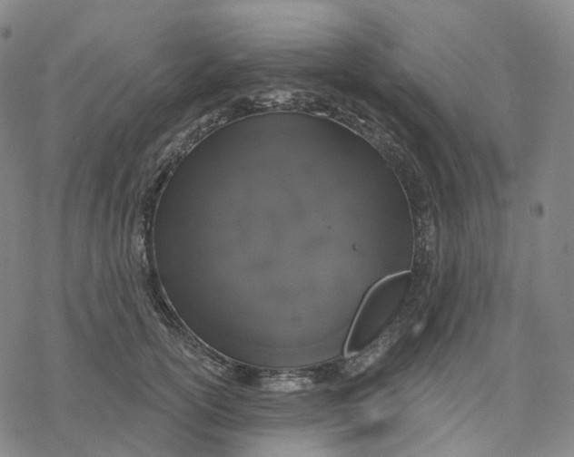 X0000076420754200610271708