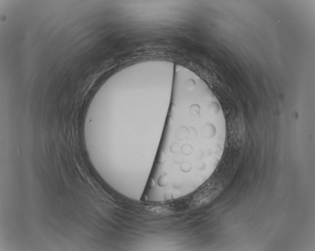 X0000076420755200610271708