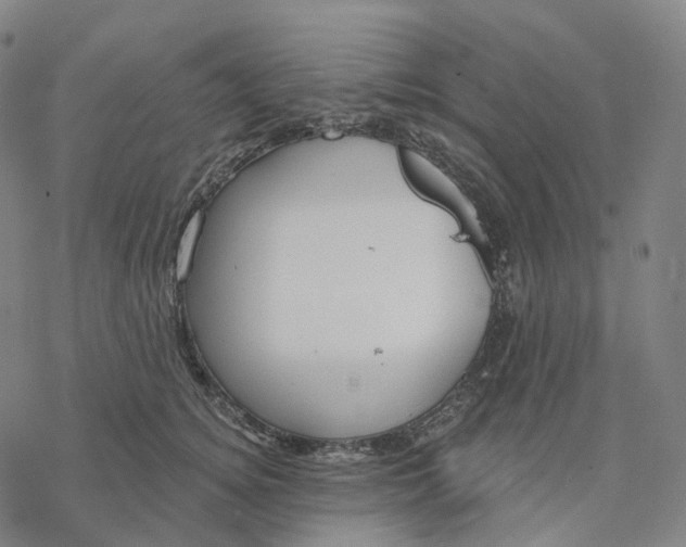 X0000076420756200610271708