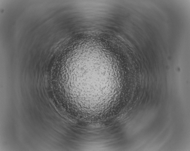 X0000076420757200610271708