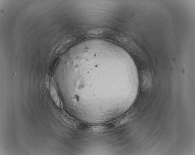 X0000076420758200610271708