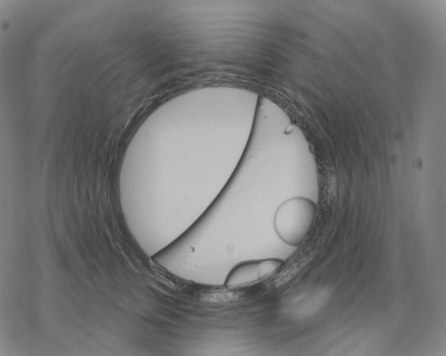 X0000076420759200610271708