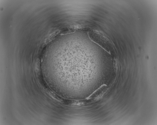 X0000076420760200610271708