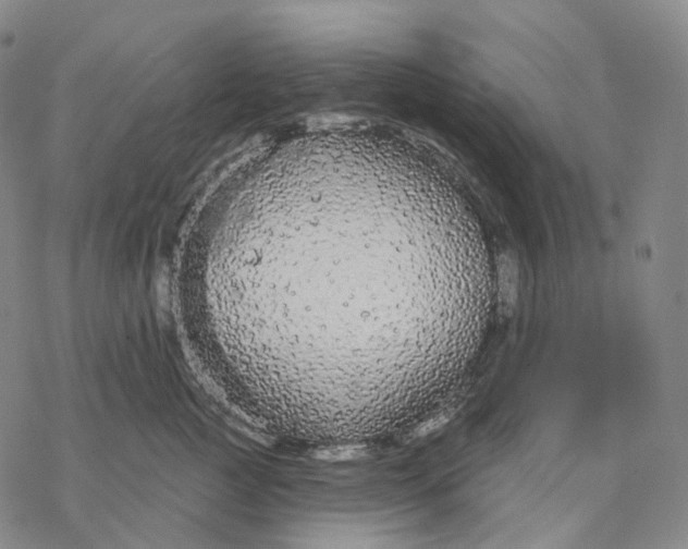 X0000076420761200610271708