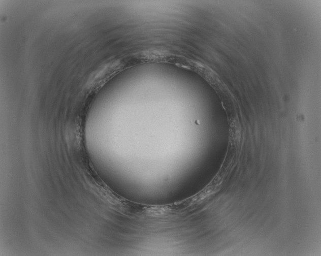 X0000076420762200610271708