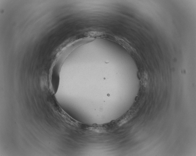 X0000076420763200610271708