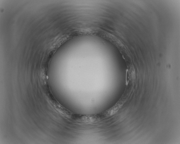 X0000076420764200610271708