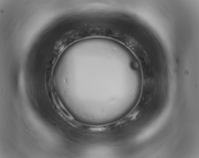 X0000076420765200610271708