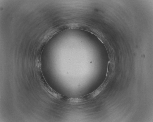 X0000076420766200610271708