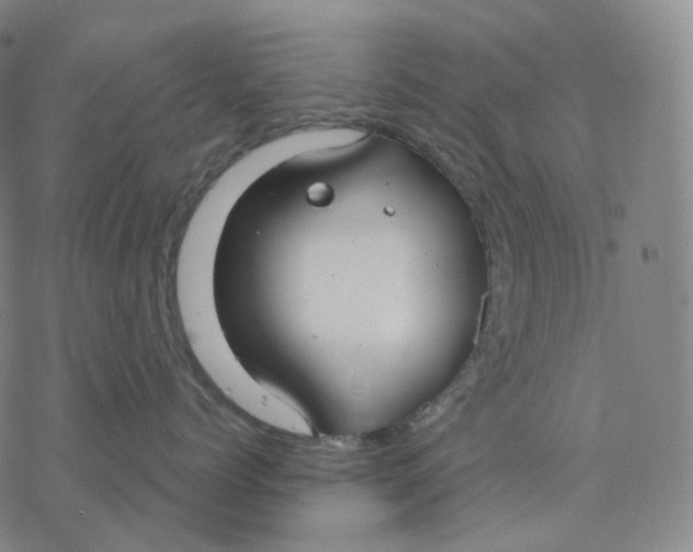 X0000076420768200610271708