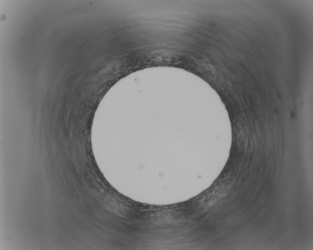 X0000076420769200610271707