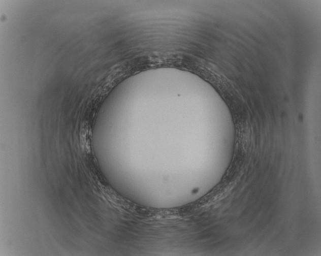 X0000076420770200610271707