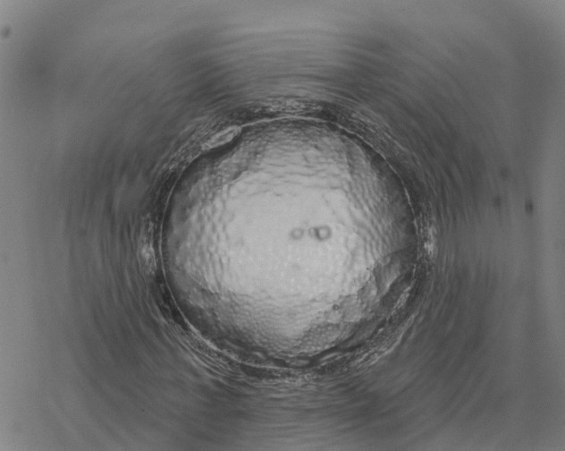 X0000076420771200610271707