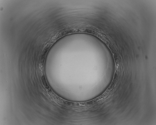 X0000076420772200610271707