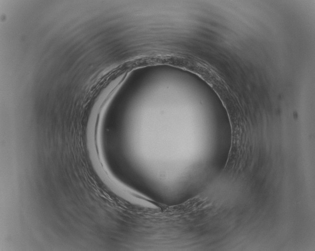 X0000076420773200610271707