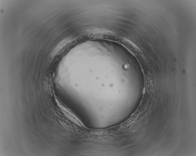 X0000076420775200610271707