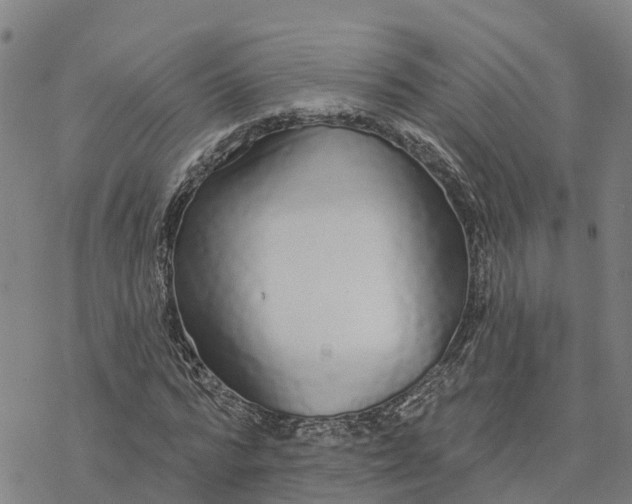 X0000076420776200610271707