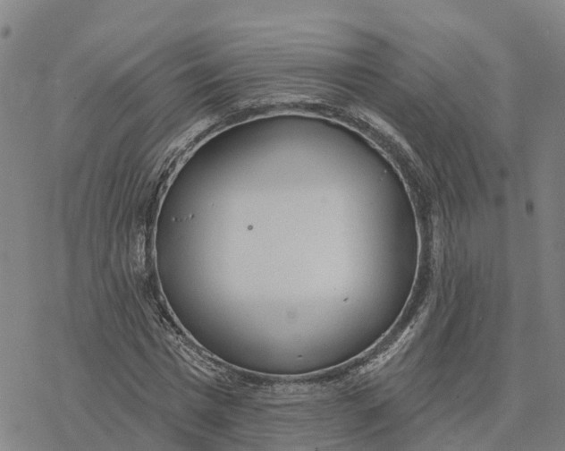 X0000076420777200610271707