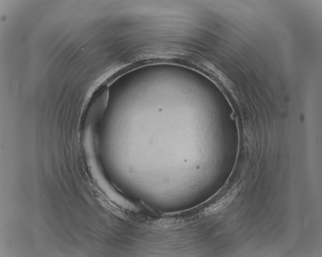 X0000076420779200610271707