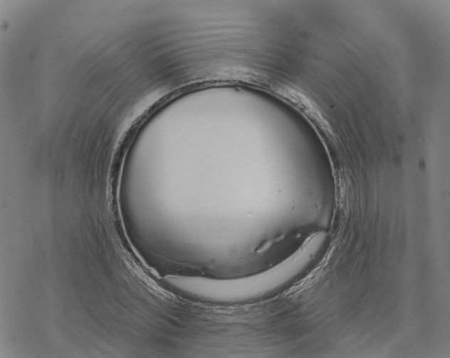 X0000076420780200610271707