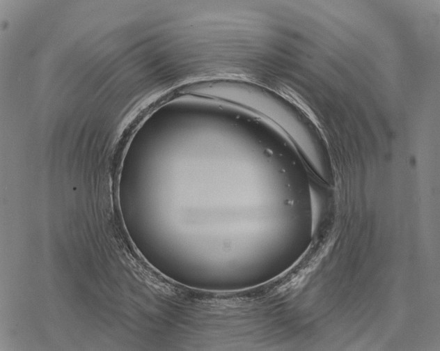 X0000076420781200610271707