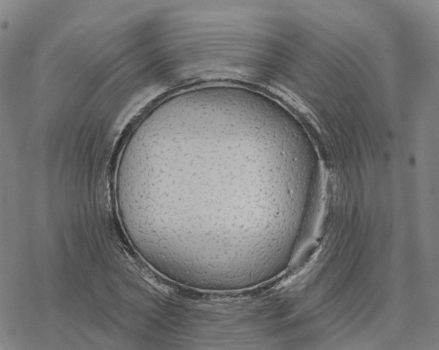 X0000076420782200610271707