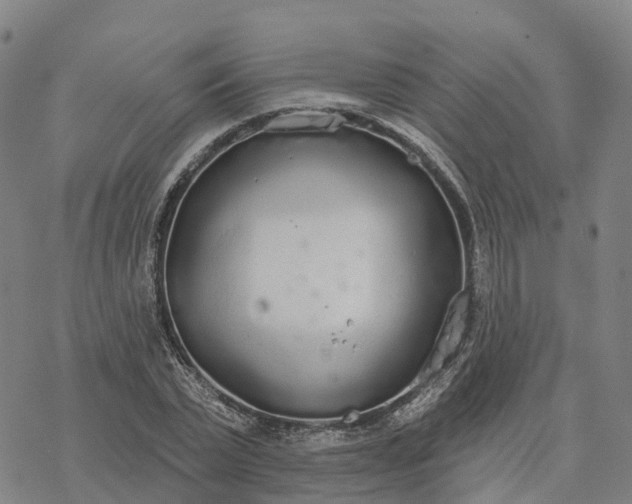 X0000076420783200610271707