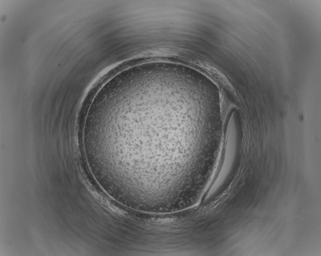 X0000076420784200610271707