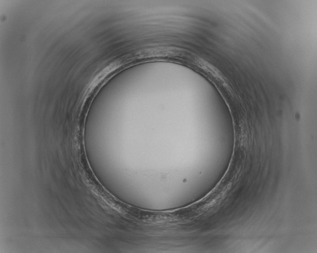 X0000076420786200610271707