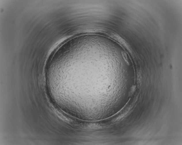 X0000076420787200610271707