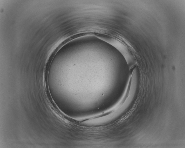 X0000076420788200610271707