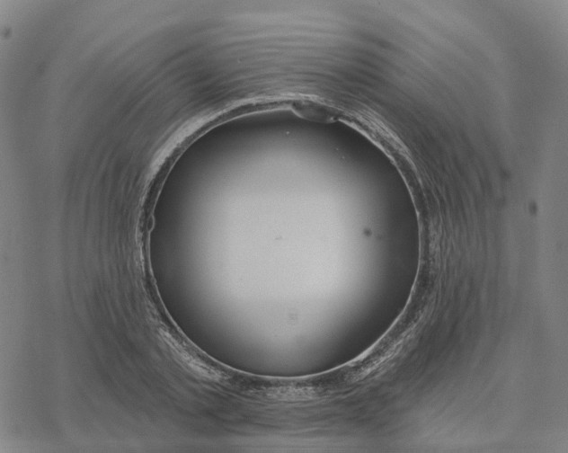 X0000076420789200610271707