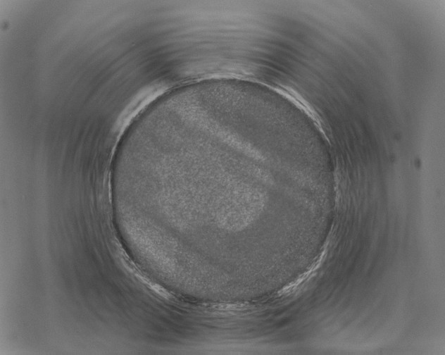 X0000076420790200610271707