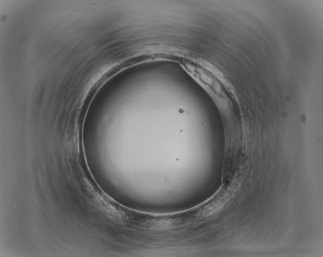 X0000076420791200610271707