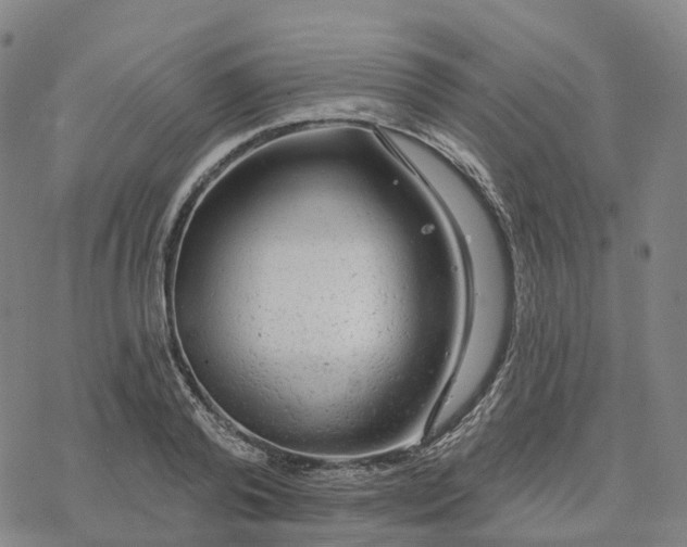 X0000076420792200610271707