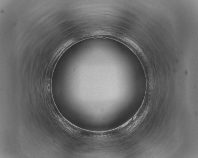 X0000076420793200610271707