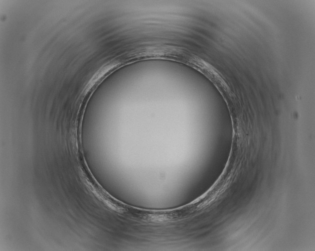 X0000076420794200610271707