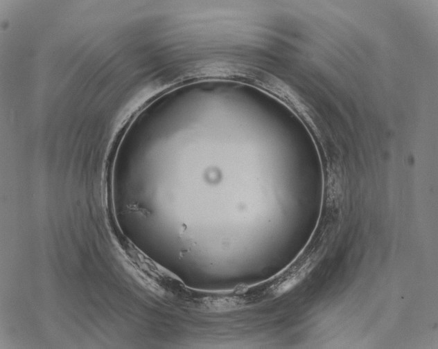 X0000076420795200610271707