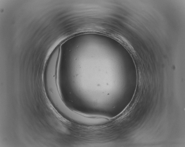 X0000076420796200610271707