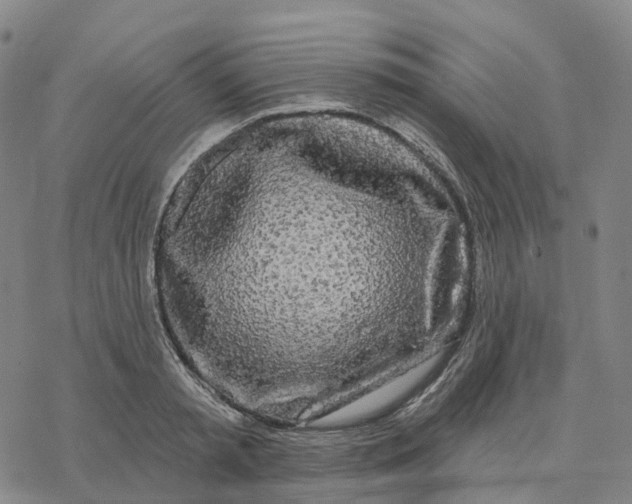 X0000076420797200610271707