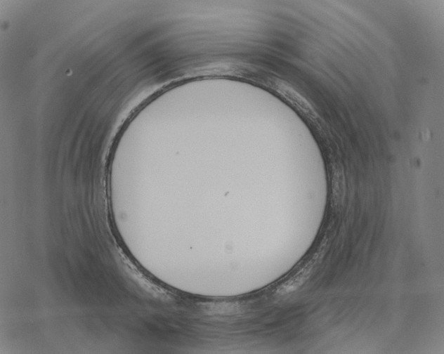 X0000076420800200610271706