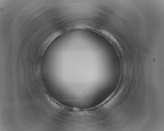 X0000076420801200610271706